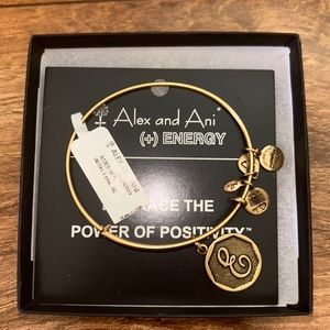 Alex and Ani “E” energy bracelet